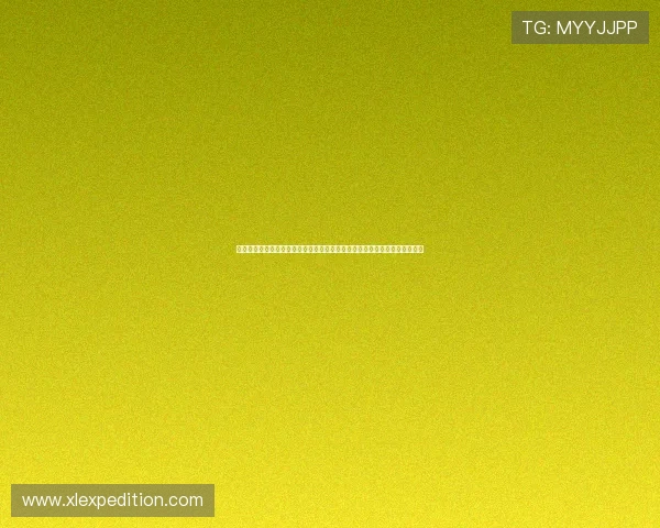 从创造到生存探索我的世界无限可能的沙盒冒险之旅与想象力共生的玩家传奇